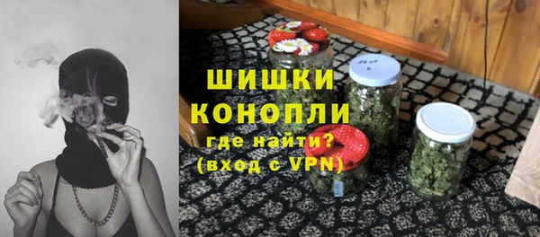стафф Богородск