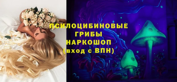 стафф Богородск
