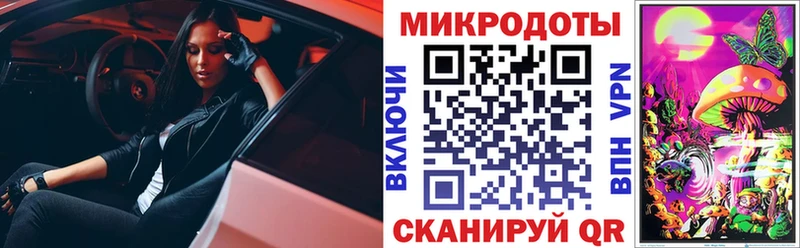 Галлюциногенные грибы Psilocybine cubensis  Купить закладки  Верея 