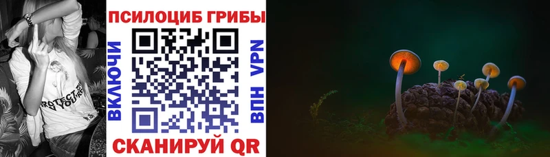 Галлюциногенные грибы MAGIC MUSHROOMS Верея